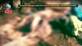 Ancheta in Craiova, dupa ce un cadavru a fost gasit aruncat la gunoi cu tot cu sicriu