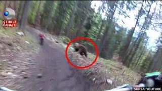 Imagini de exceptie - Doi biciclisti sunt fugariti de un urs prin padure - Trebuie sa vezi cum s-a terminat cursa asta nebuneasca