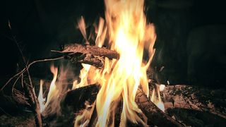 Trei persoane de etnie roma au ars intr-un incendiu provocat intentionat la Roma - Ce anunt a facut Ministerul Afacerilor Interne