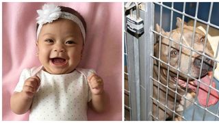 Fetita de 6 luni, sfasiata de pitbull-ul familiei. Parintii sunt in stare de soc