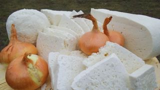 Oameni din toate colturile tarii au mers intr-o cumuna din Braila pentru aceasta branza! Ce o face atat de speciala