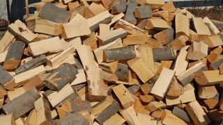 Angajatii unei scoli din Braila furau lemnele de foc, iar copiii se imbolnaveau in clase