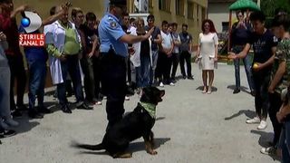 Cainele terapeut pentru copiii cu probleme a facut senzatie printre copilasii surdo-muti