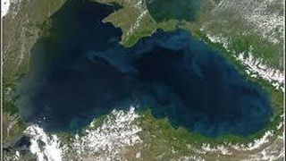 Descoperire de exceptie in Marea Neagra, la 1.800 de metri adancime: "Sunt uimitoare"