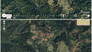 USR Bihor: Defrisarile din Apuseni se vad din satelit. Peste 1.000 de hectare de padure au disparut in ultimii ani