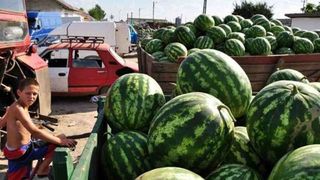 Asta e comuna in care niciun locuitor nu primeste ajutor social. Oamenii reusesc sa prospere din cultivarea pepenilor