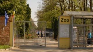 Fetita de 5 din Timisoara, infectata cu Borrelia dupa o vizita la Zoo
