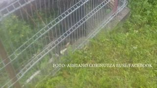 Sursa foto: facebook.com/adrianocorinutza.buse