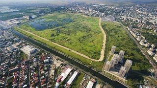 Transformarea spectaculoasa a Deltei Vacaresti! Adio gunoaie, case din chirpici si rromi cu carute! Parcul Natural e plin de plante, pasari, iar oamenii ies la plimbare VIDEO EXCLUSIV