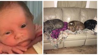 Bebelus de cateva saptamani, sfasiat de cei trei caini ai familiei. "Doar 5 minute am lipsit", a declarat mama copilului