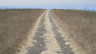 Barbat, violat de 3 vecine si abandonat dezbracat pe camp