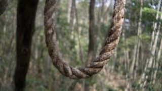 Un baiat de 11 ani din Arad a fost gasit spanzurat de o grinda a casei; localnicii se tem ca ar putea fi vorba despre jocul &rdquo;Balena albastra&rdquo;