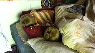 Doi copii de 3 si 6 ani au ajuns sa caute mancare in gunoaie pentru ca frigiderul e inchis cu cheia. Povestea lor e cumplita