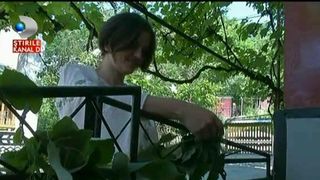 Locul din Romania unde traditiile se pastreaza cu sfintenie. De Rusalii, casele au fost impodobite cu ramuri de tei