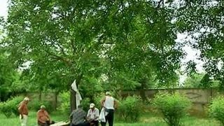 Au dat marea pe "plaja" dintre blocuri. Cum s-au distrat oamenii ramasi in orase in minivacanta de Rusalii