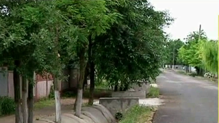 Comuna din Romania in care primarul a facut totul pe dos - Cum arata santurile cu panta de scurgere inversa sau copacii betonati - E de vis... urat