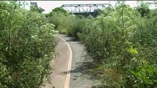 Asa arata o pista de biciclete ce face parte dintr-un proiect de 3 milioane de euro! Se gaseste intr-unul dintre cele mai mari orase ale Romaniei