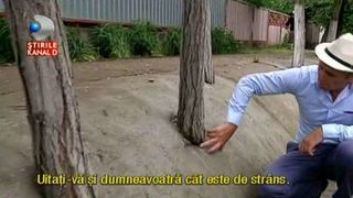 Comuna din Romania unde copacii au fost ingropati in beton, iar apa curge invers. Ce spun satenii