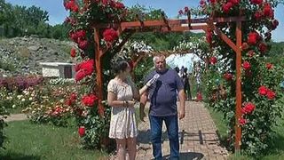 Un adevarat colt de rai cu aproape 200 de specii de trandafiri. Paradisul se afla tocmai  in nordul tarii.