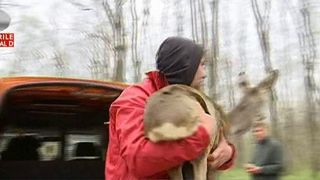 "E un moment trist pentru mine. M-a terminat ce am patit cu caprioara asta". Momentul emotionant in care o caprioara este eliberata in padure