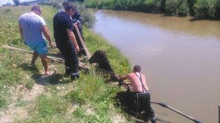 Imagini impresionante. Pompierii din Barlad au salvat un cal de la inec!