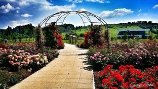 Castelul lui Hasdeu, un loc plin de incarcatura istorica. Care este povestea bijuteriei arhitecturale si cum poti ajunge aici