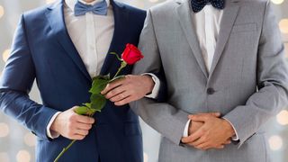 Panica in BOR! "Vom pierde meciul cu statul roman. Se va drumul la parteneriatele civile intre persoanele de acelasi sex"