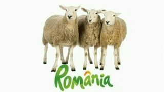 Idei din popor pentru brandul de tara! Ce cred romanii ca ne reprezinta cu adevarat