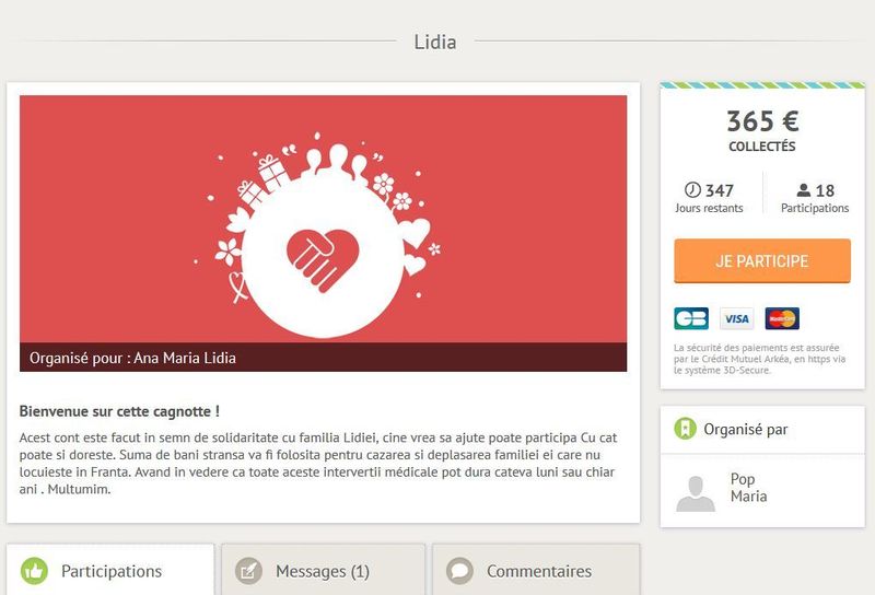 Doar 365 euro stransi pentru Lidia