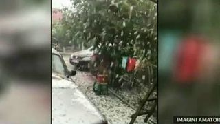 Furtunile au facut prapad in toata tara. Grindina a distrus culturile agricultorilor, iar viitura puternica a distrus peste 600 de stupi