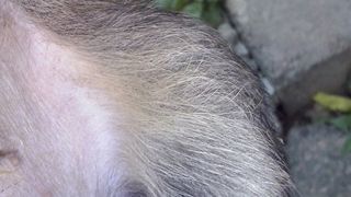 S-a dus la ghena sa arunce gunoiul si ce a descoperit acolo a ingrozit-o: "Are burtica vanata si nu mananca, bea doar apa"