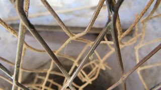 Incredibil! Ce au descoperit politistii in casa unui dambovitean - Erau tinute in custi special construite