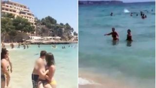 Panica pe plaja! Oamenii ingroziti au inceput sa urle si sa alerge spre mal. Un turist curajos a filmat totul