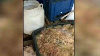 Jale in Constanta! Proprietarul unui magazin, in care inspectorii OPC au gasit mancare stricata, ar fi furat probele