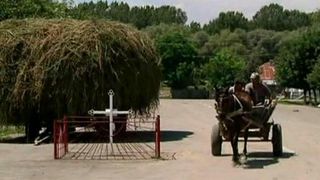 Asta e satul din Braila cu cruce in mijlocul drumului. Motivul pentru care satenii nu se ating de "minunea" din asfalt. De 10 ani e acolo!