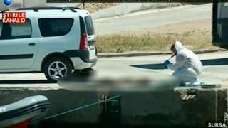 Trupul fetitei de 11 ani, disparuta acum 8 zile in largul marii, a fost gasit si scos la suprafata de delfini