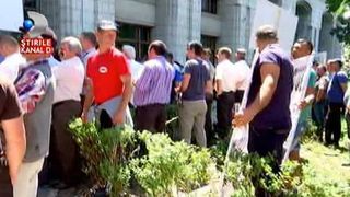 Protestatarii din fata Ministerului Mediului au calcat in picioare gardul viu si iarba! Jandarmii au aparat pavajul