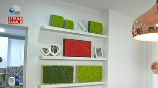 O tanara din Baia Mare face tablouri din muschi si licheni! Cum arata opera de arta si cat costa