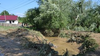 Sursa foto: http://vestea.net