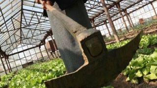 Femeie din Vaslui arestata pentru omor, dupa ce si-a ucis iubitul cu 15 lovituri de sapa pentru ca o batea frecvent