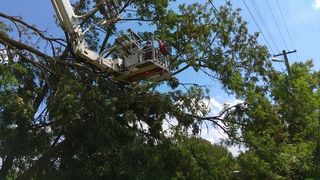 Gospodarii inundate, cabluri electrice si copaci cazuti pe sosele, dar si o familie ratacita pe munte in urma intemperiilor