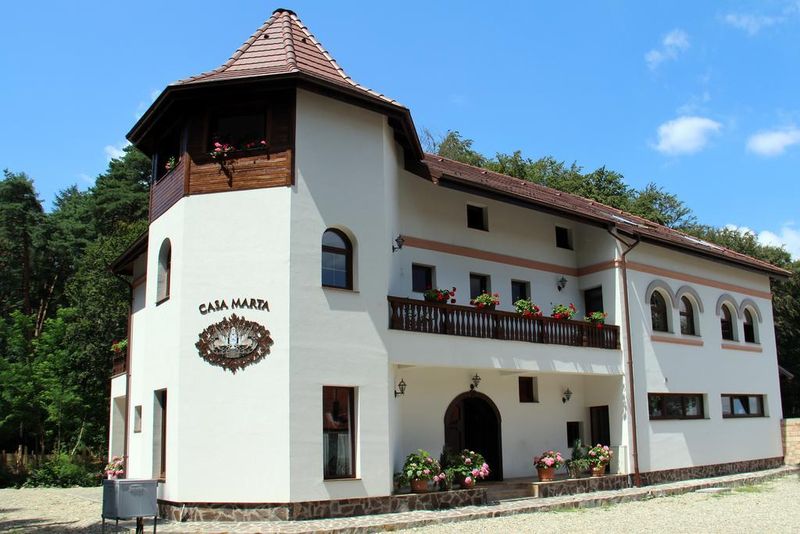 Mariana Mirea detine o pensiune si la Sambata