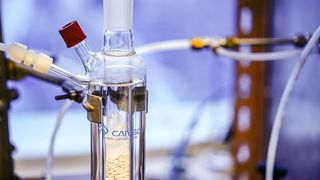 Doua medalii de aur si doua de argint obtinute de elevii romani la Olimpiada Internationala de Chimie