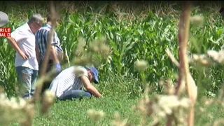 &bdquo;Prima data am zis ca e o papusa de carpa&rdquo;. Descoperire macabra facuta de un roman pe camp. Marturii de groaza