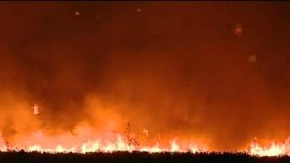 Zile de panica pentru locuitorii din Techirghiol! Se confrunta cu incendii de vegetatie de mai bine de o saptamana