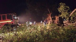 Marturiile cutremuratoare ale tinerilor care au au supravietuit tornadei din Bihor care a ucis un om: "A fost apocaliptic"