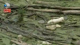Tone de PET-uri din plastic, animale moarte, fiare vechi şi gunoi menajer pe malul Oltului. Peisajul mizerabil e dezgustator