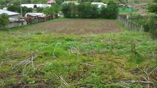 Localitatea din Romania in care oamenii nu au apa potabila de peste doi ani de zile. "Toata apa din fantani miroase a hoit!"