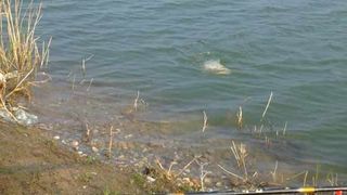 Copil de 13 ani, in coma profunda! Aflat la scaldat intr-o balta in comuna Gura Vitioarei, baiatul a ramas blocat in malul de pe fundul apei