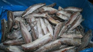 Razie intr-o piata din Sectorul 2, la un magazin de peste si produse congelate